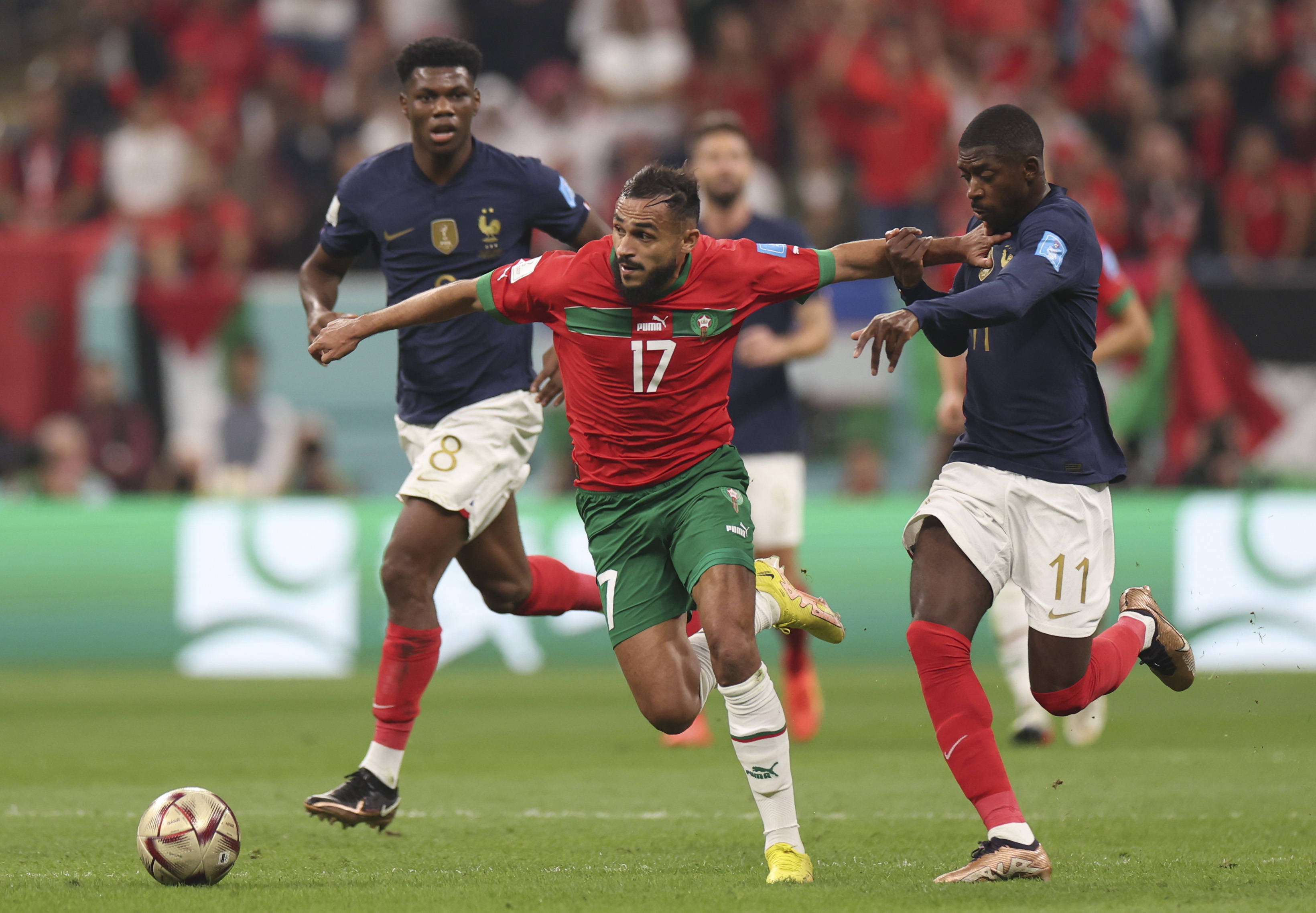 媒体与搜索 媒体与搜索